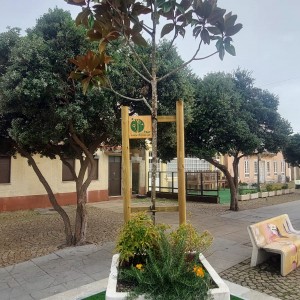 Instalação de novas plantas.jpg II